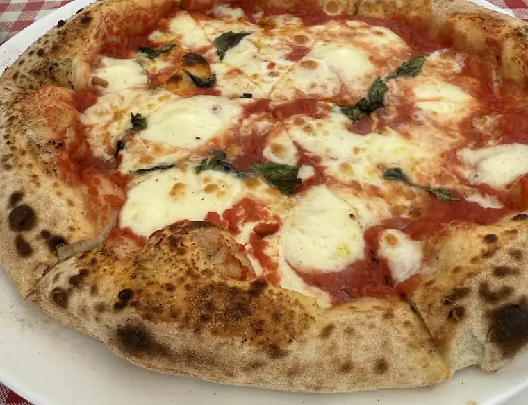 Pizza z mozzarellą Fior di Latte na obrusie w kratkę